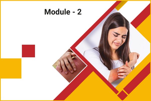 Learning Module 2